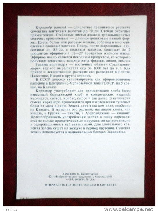 Coriander - Coriandrum sativum - by. N. Barbotchenko - plants - 1986 - Russia USSR - unused - JH Postcards