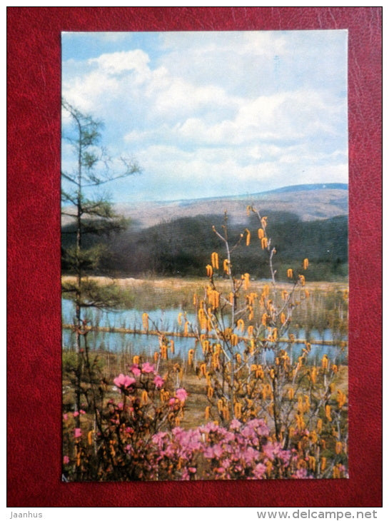 rosemary bloomed - Soviet Harbors - 1971 - Russia USSR - unused - JH Postcards