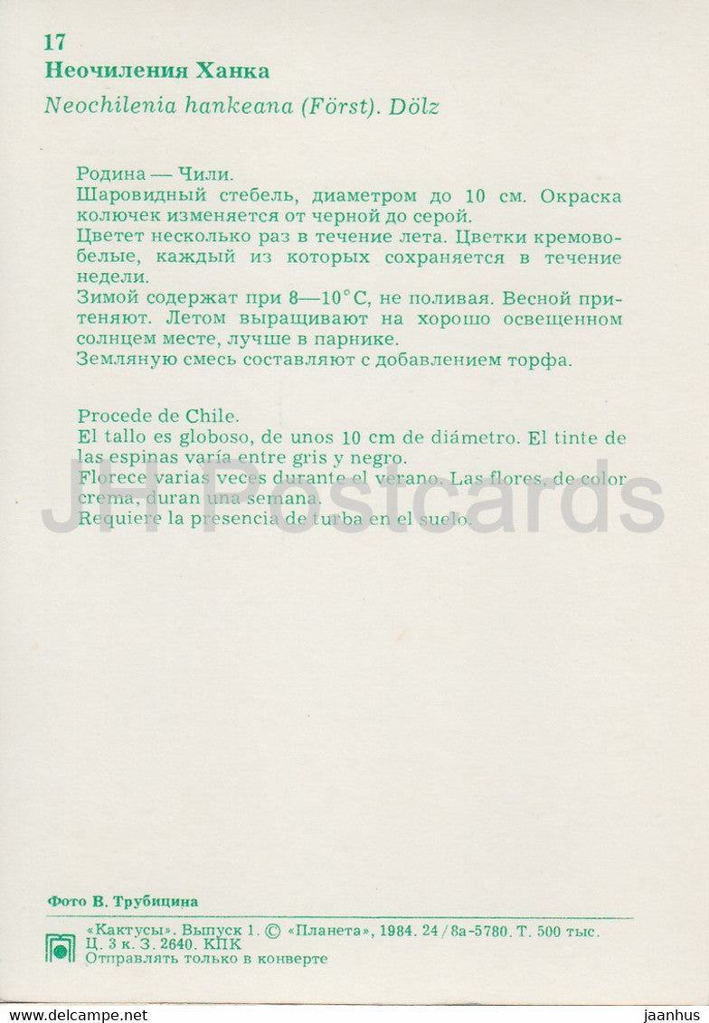 Neochilenia hankeana - cactus - fleurs - 1984 - Russie UUSR - inutilisé