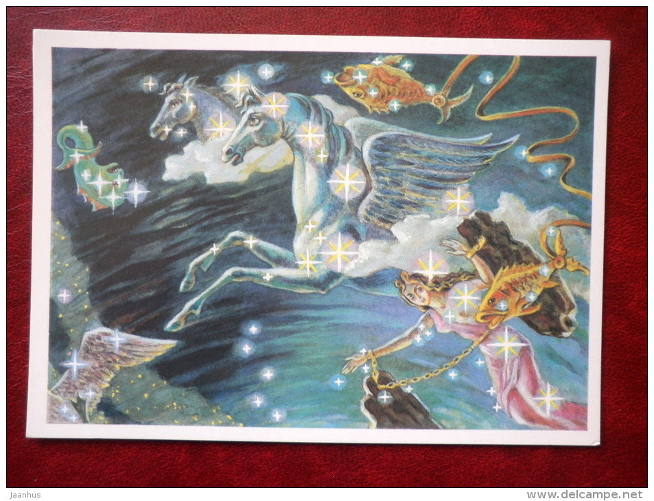 Pegasus - Delphinus - constellations - dolphin - stars - night sky - 1990 - Russia USSR - unused - JH Postcards