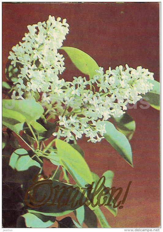 Greeting Card - White Lilac - flowers - 1983 - Estonia USSR - used - JH Postcards