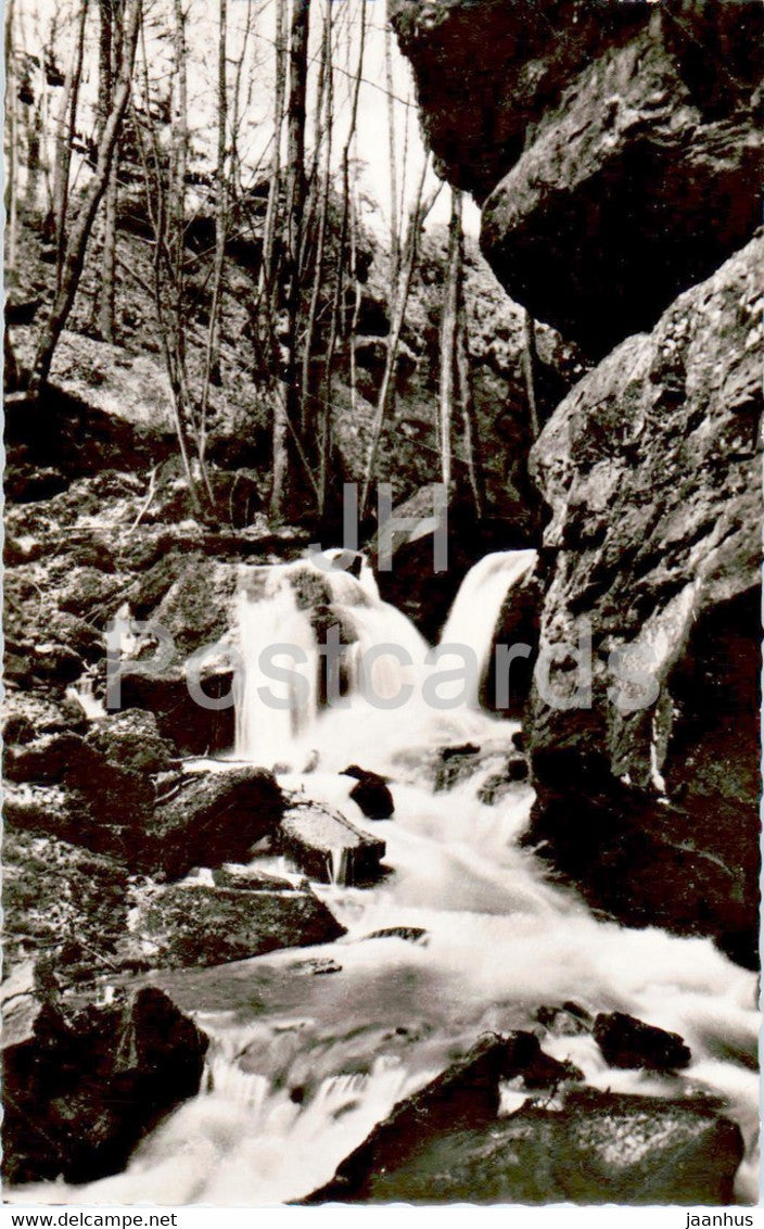 Partie in der Wolfsschlucht bei Zwingenberg am Neckar - Germany - unused - JH Postcards