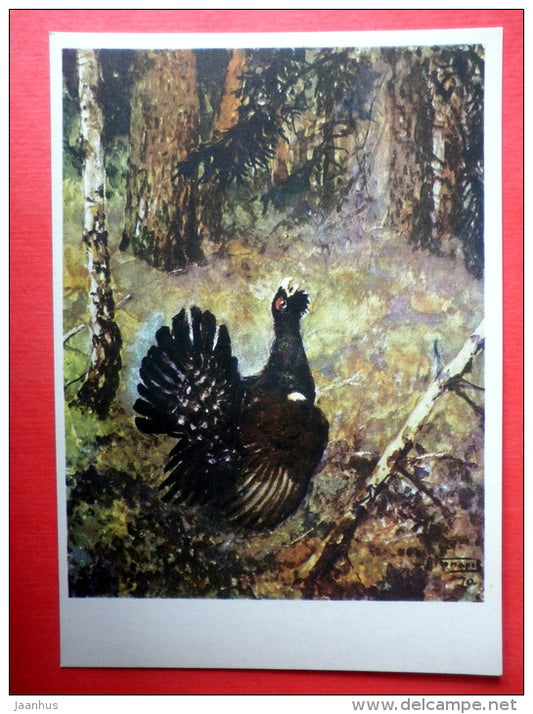 illustration by A. Komarov - Western Capercaillie - Tetrao urogallus - birds - 1975 - Russia USSR - unused - JH Postcards