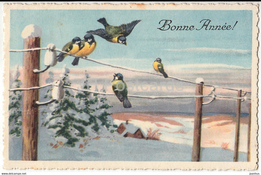 New Year Greeting Card - Bonne Annee - birds - blue tit - WSSB 9377/I - old postcard - 1926 - France - used - JH Postcards