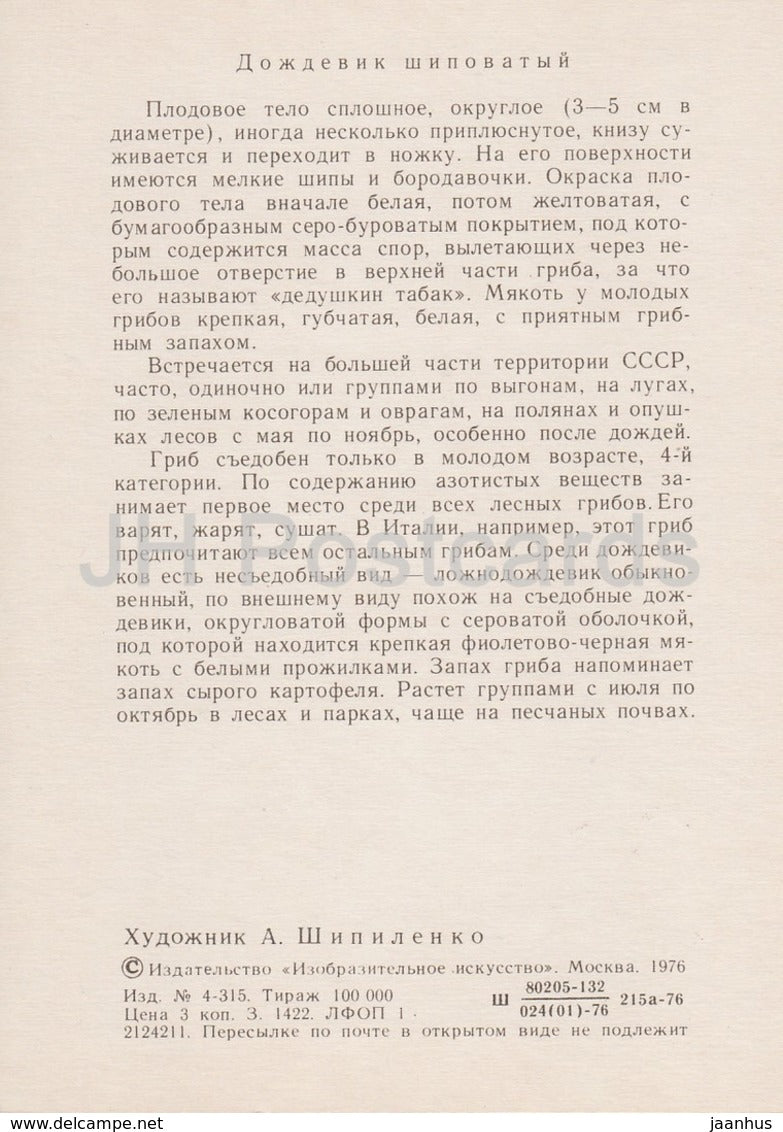 Common puffball - Lycoperdon perlatum - illustration by A. Shipilenko - Mushrooms - 1976 - Russia USSR - unused - JH Postcards