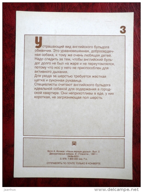 Bulldog - dogs - 1991 - Russia - USSR - unused - JH Postcards