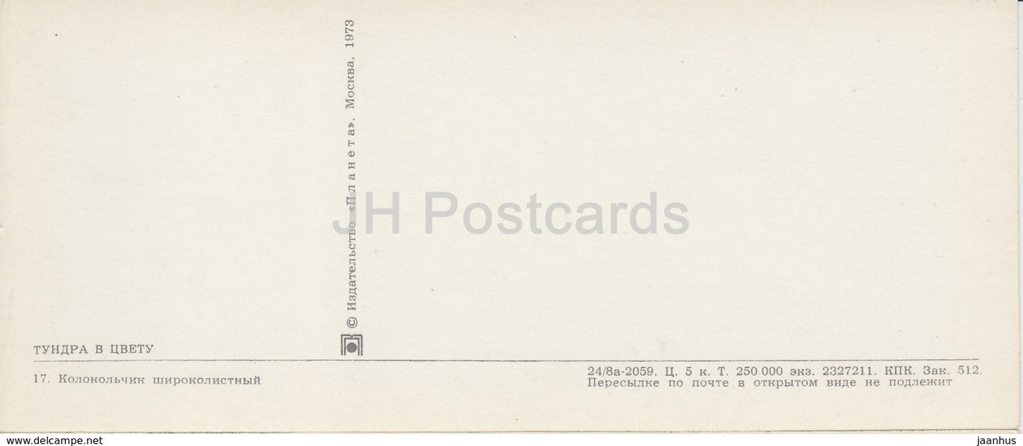 Campanule géante - Campanula latifolia - plantes - renne - traîneau - Toundra en fleur - 1973 - Russie URSS - inutilisé