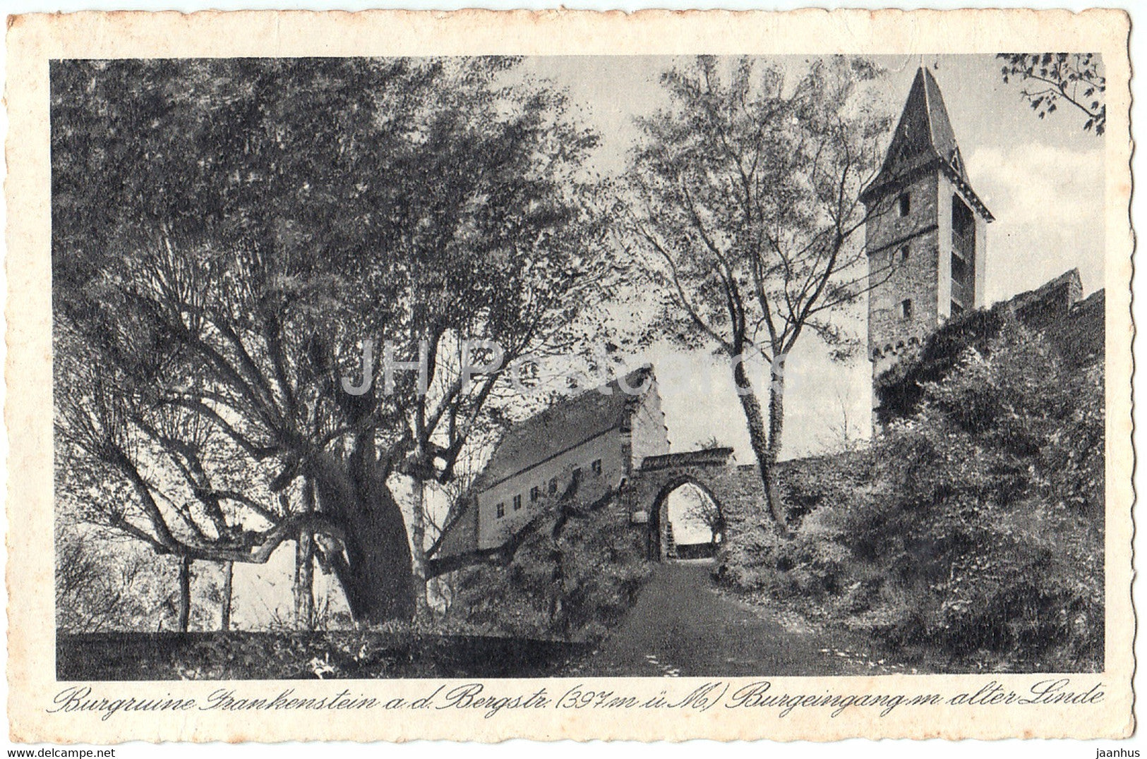 Burgruine Frankenstein a d Bergstr 397 m - Burgeingang alter Linde - old postcard - Germany - used - JH Postcards