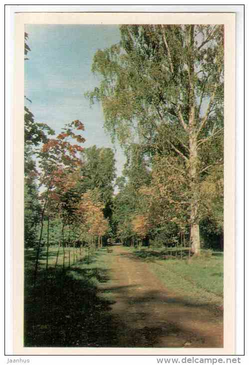 The Maple Walk - Oranienbaum - Lomonosov - 1971 - Russia USSR - unused - JH Postcards