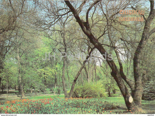 Chisinau - Kishinev - corner in the Pushkin Park - 1989 - Moldova USSR - unused - JH Postcards
