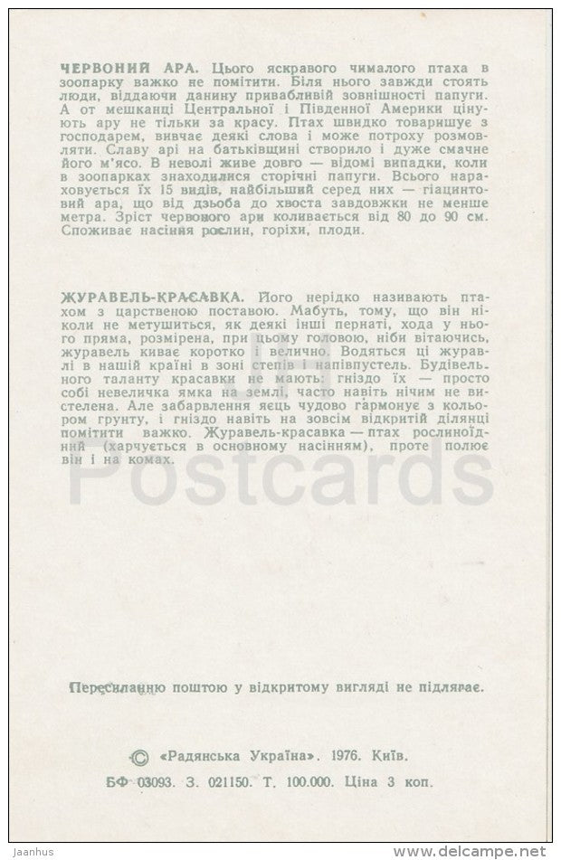 Macaw - Crane-belladonna - Kiev Kyiv Zoo - 1976 - Ukraine USSR - unused - JH Postcards