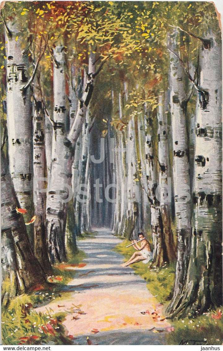 birch alley - illustration by M Trube - Truebe - Series 1173 - old postcard - unused - JH Postcards