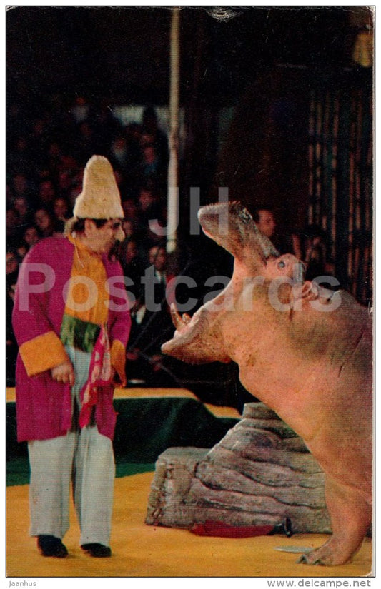 tamer Stepan Asakyan - hippo - Animals in Circus - 1975 - Russia USSR - unused - JH Postcards