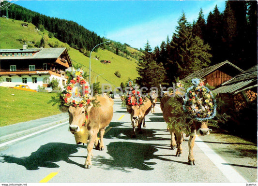 Almabtrieb bei Gerlos - Zillertal - cow - animals - 1988 - Austria - used - JH Postcards