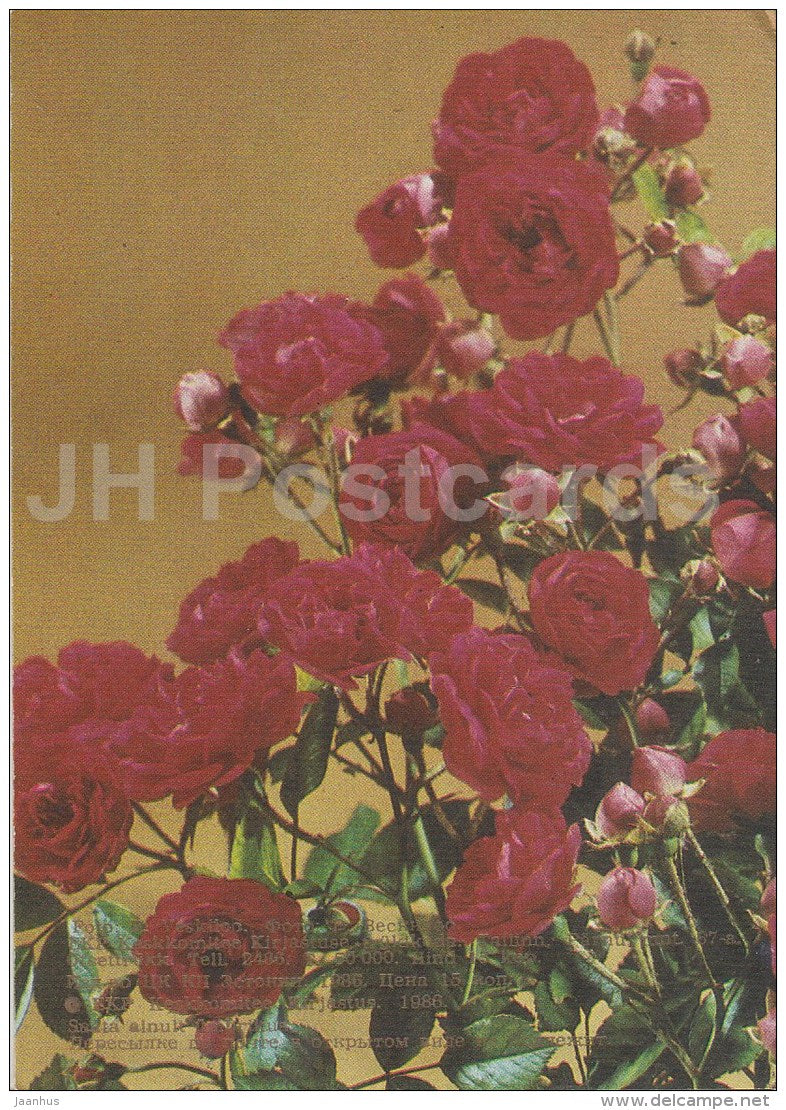 Greeting Card - Red Roses - flowers - 1986 - Estonia USSR - used - JH Postcards