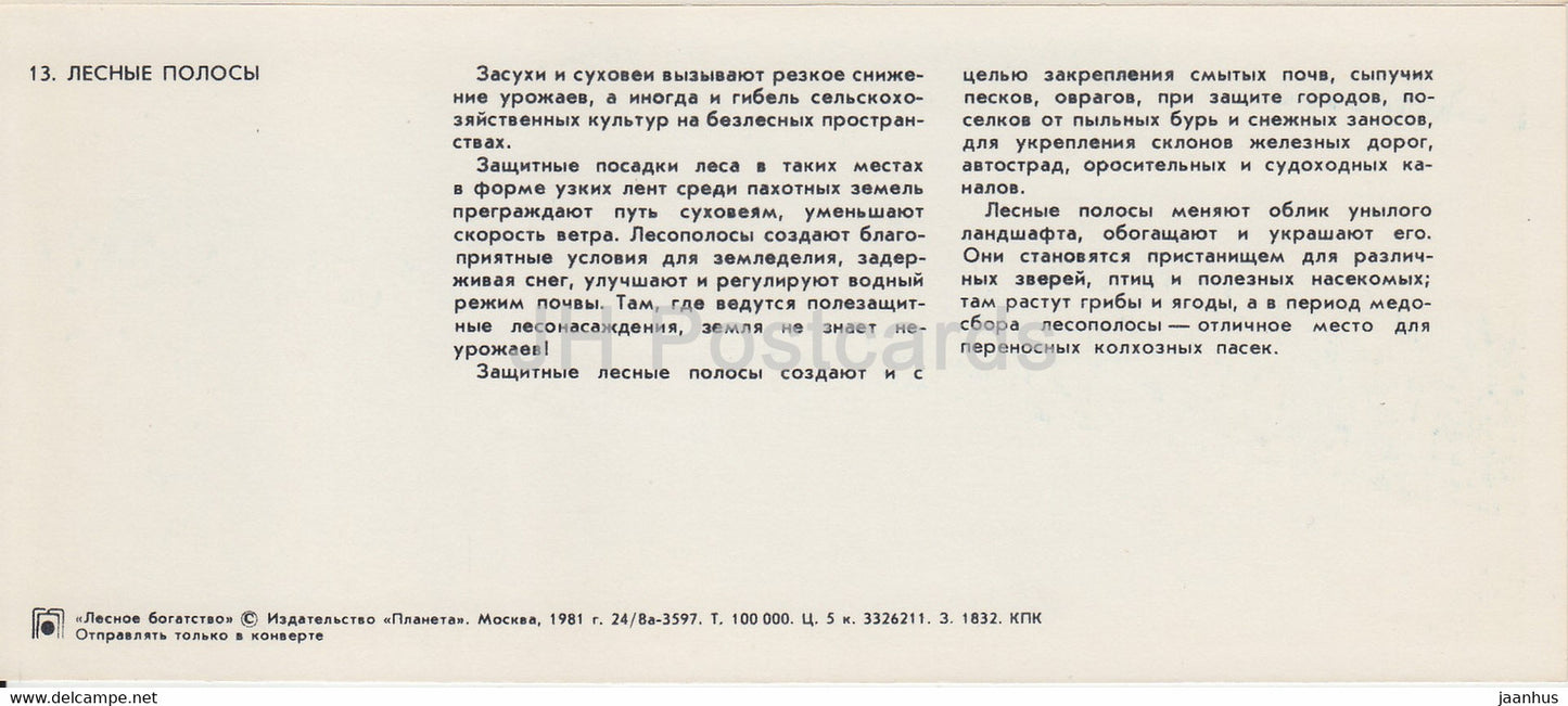 Maisfeld – Waldreichtum – 1981 – Russland UdSSR – unbenutzt