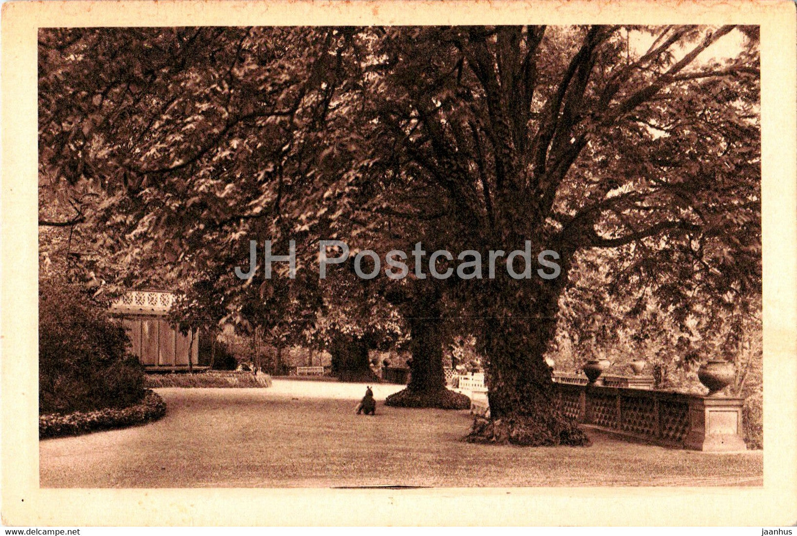 Aus dem Stadtpark der Villa Berg - old postcard - Germany - unused - JH Postcards