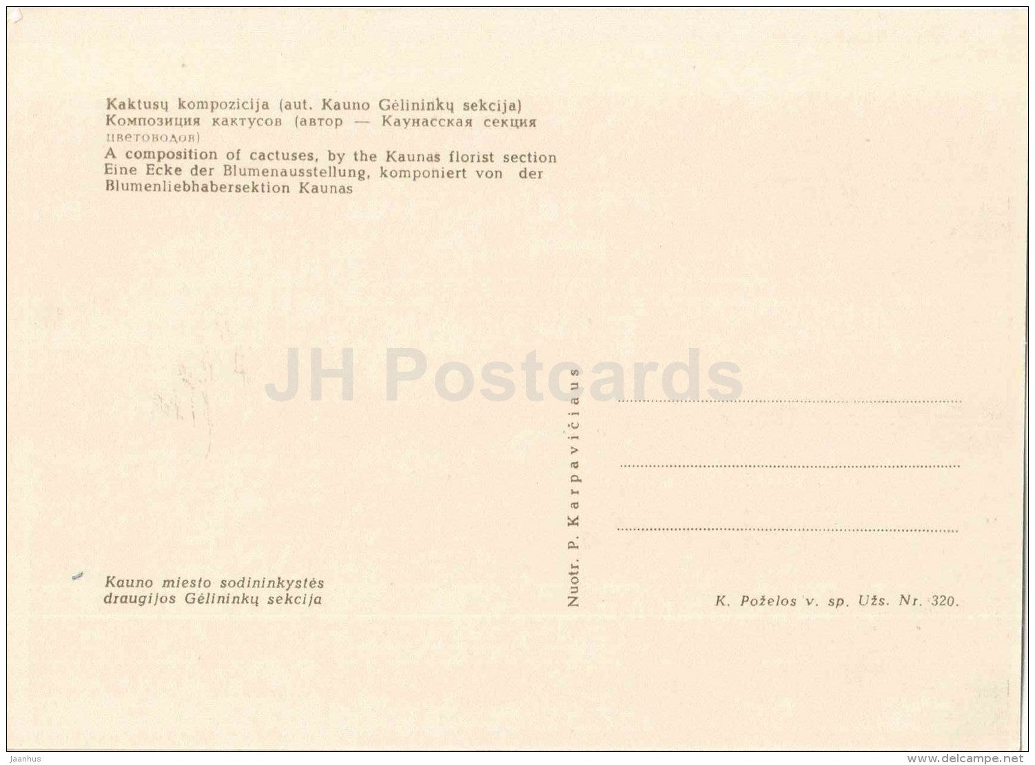 a Composition of Cactuses by the Kaunas Florist Section - 1963 - Lithuania USSR - unused - JH Postcards