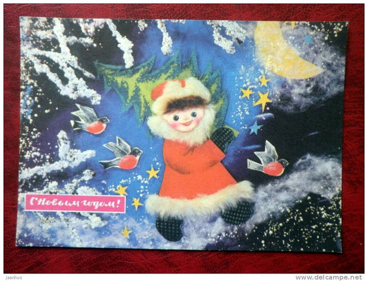 New Year greetings - birds - boy - 1972 - Russia - USSR - unused - JH Postcards