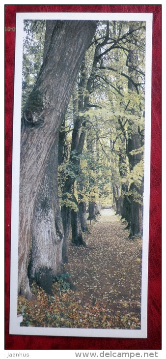 Mikhailovskoe - Anna Kern lime alley - Pushkin National Park - 1983 - Russia - USSR - unused - JH Postcards