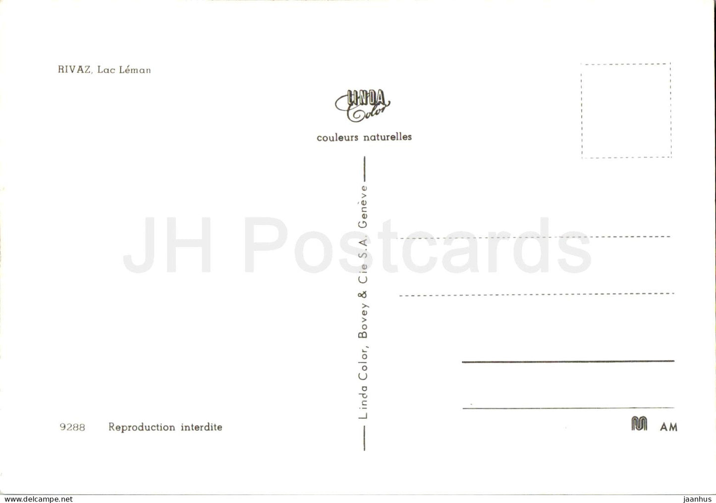 Rivaz - Lac Léman - vignoble - 9228 - Suisse - inutilisé 