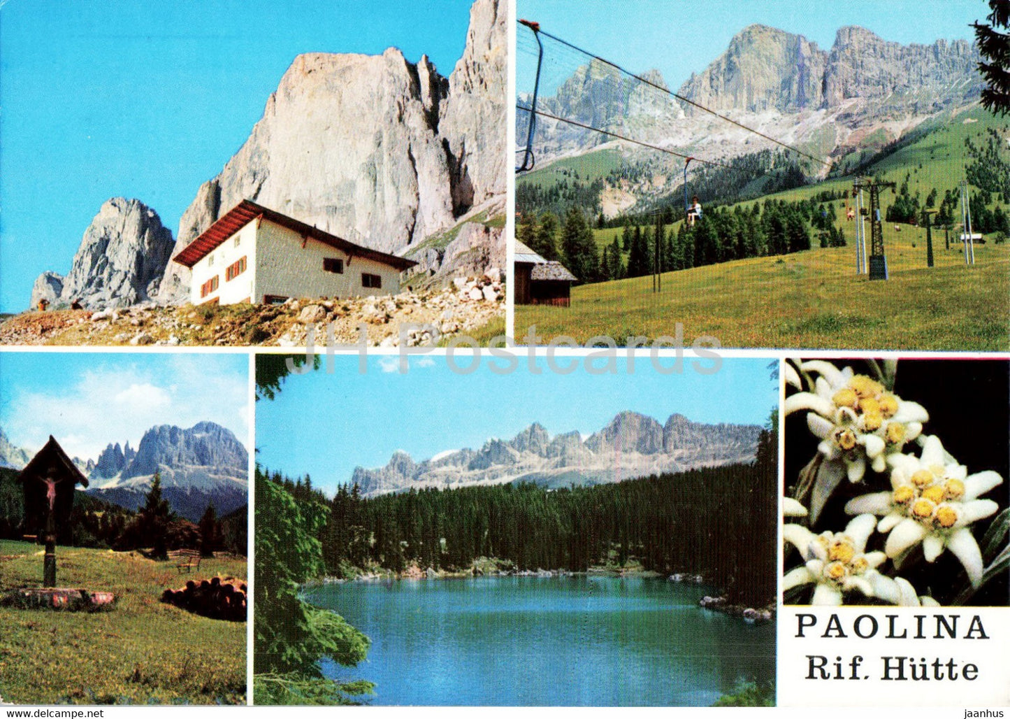 Rifugio Paolina Hutte - Gruppo del Catinaccio - Carezza - Edelweiss - flowers - Italy - unused - JH Postcards