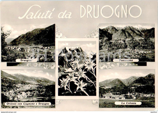 Saluti da Druogno - panorama - La Colonia - multiview - old postcard - 1952 - Italy - used - JH Postcards