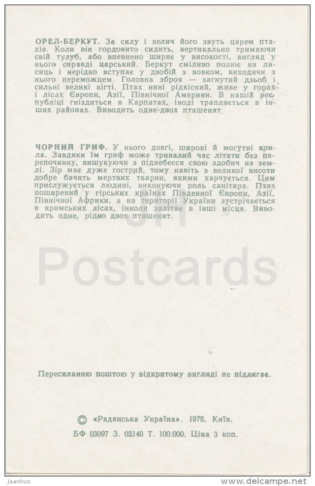 Eagle - Black Vuture - Kiev Kyiv Zoo - 1976 - Ukraine USSR - unused - JH Postcards
