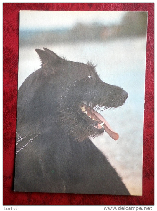 Riesenschnauzer - dogs - 1987 - Estonia - USSR - unused - JH Postcards
