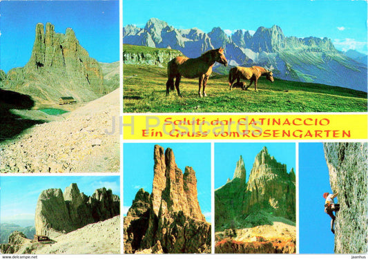 Gruppo del Catinaccio - Rif Re Alberto - Passo Santner - Rif Vajolet - horse - Italy - used - JH Postcards