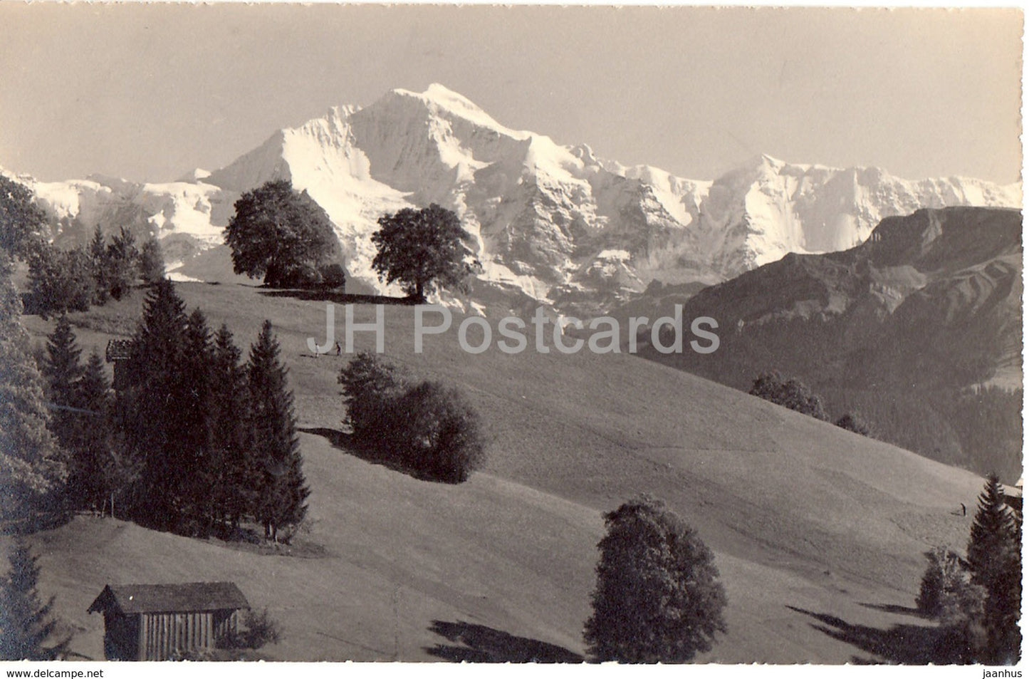 Sommerlandschaft bei Beatenberg - Jungfrau - 7550 - old postcard - Suisse - Switzerland - unused - JH Postcards
