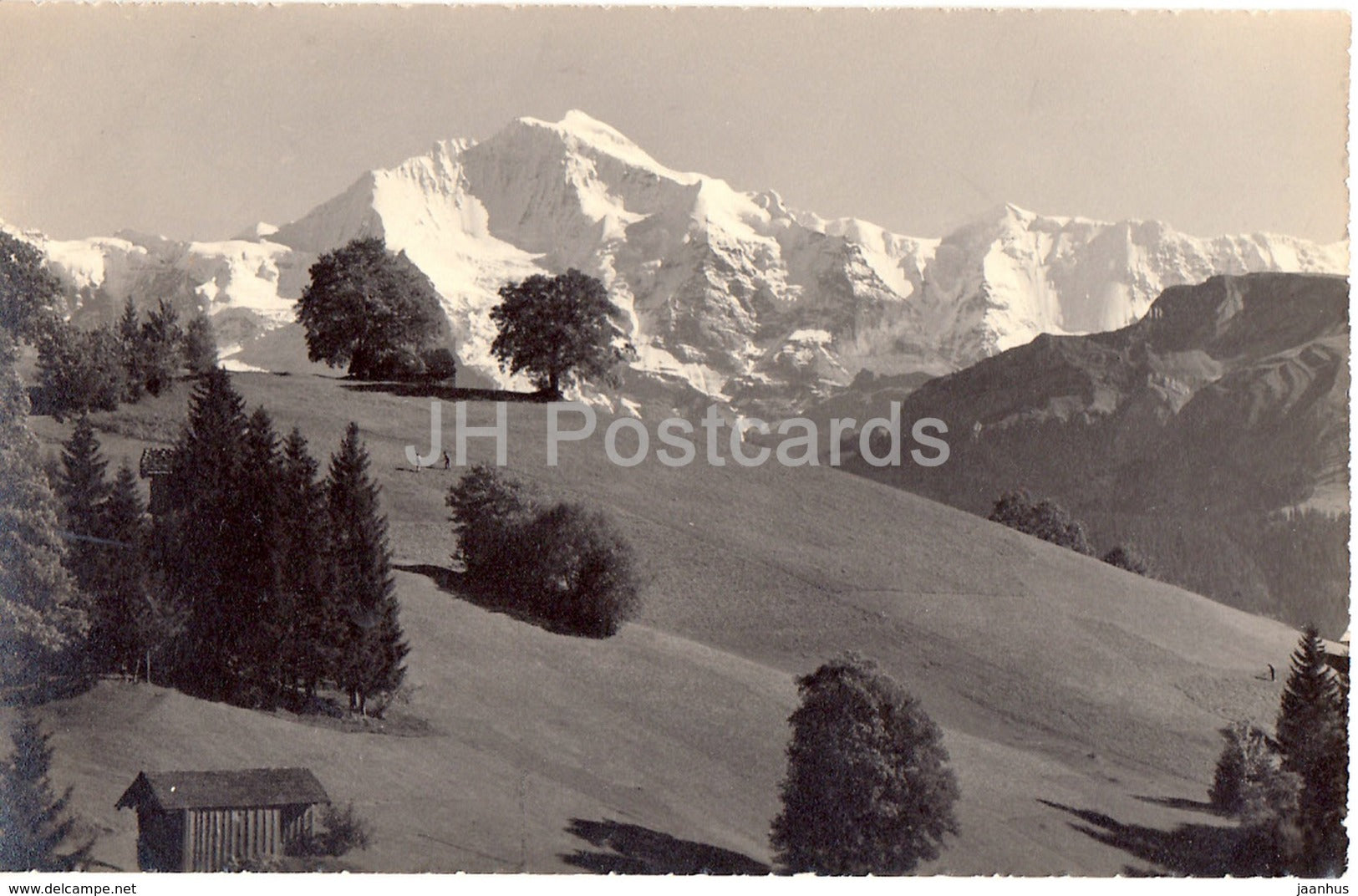 Sommerlandschaft bei Beatenberg - Jungfrau - 7550 - old postcard - Suisse - Switzerland - unused - JH Postcards
