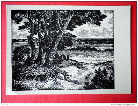 engraving by Arturs Duburs - Pine-Trees by the Sea - latvian art - unused - JH Postcards