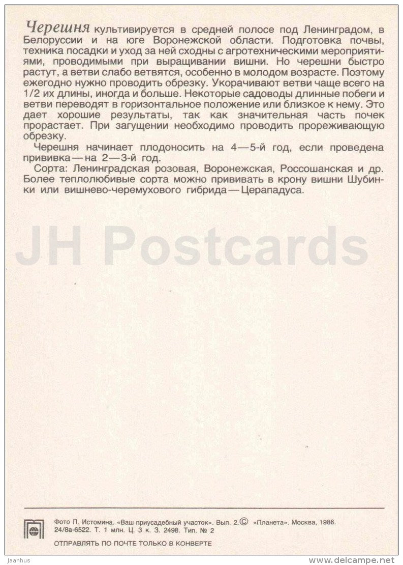 Cherry - fruit and berry crops - garden - 1986 - Russia USSR - unused - JH Postcards