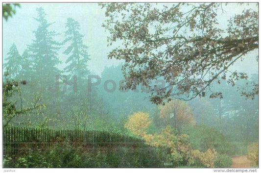 Mikhailovskoye - Hannibal´s Fir-trees - Mikhaylovskoye Museum Reserve - Pushkin - 1970 - Russia USSR - unused - JH Postcards