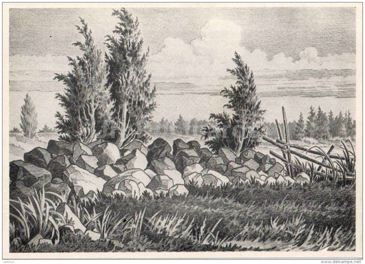 drawing by Paul Kamm - Edge of the Pasture , 1961 - juniper - 1964 - Estonia USSR - unused - JH Postcards