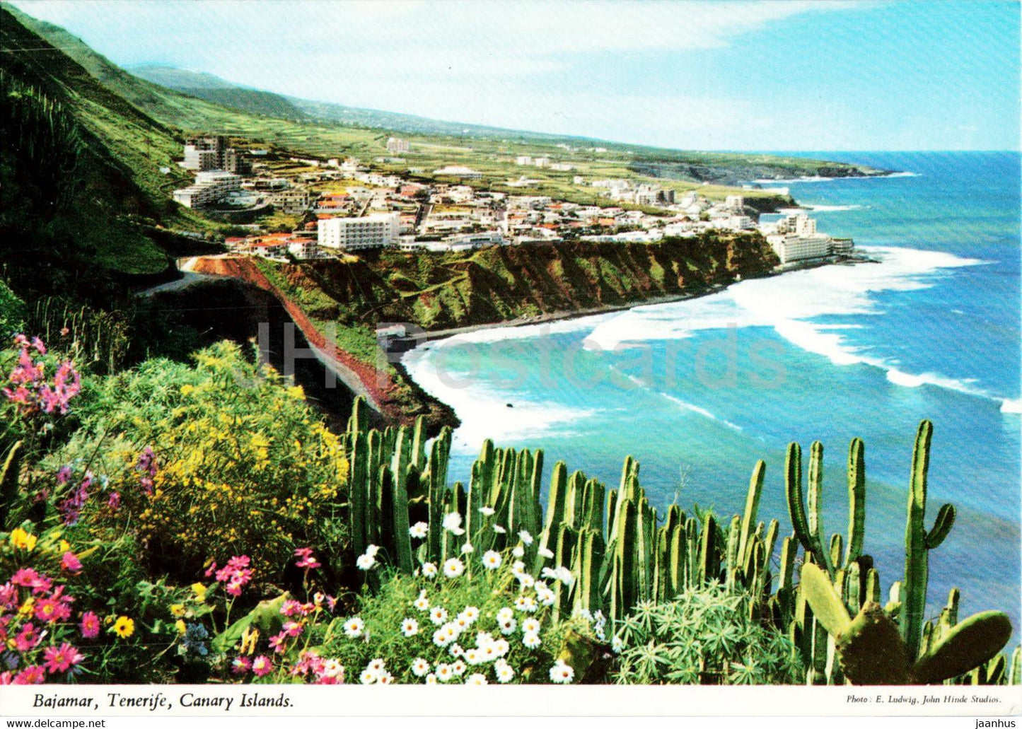 Bajamar - Tenerife - Canary Islands - 190 - Spain - unused - JH Postcards