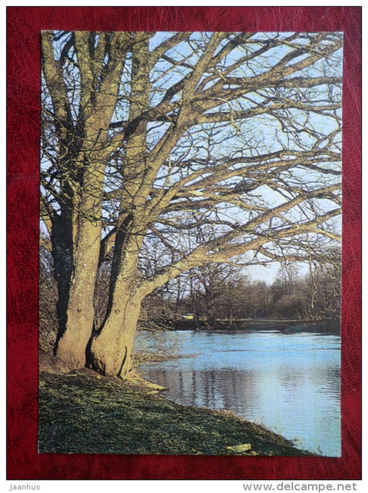 Raudna river meadows - nature - 1982 - Estonia - USSR - unused - JH Postcards