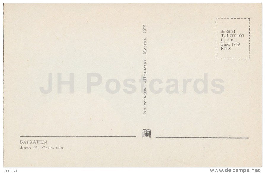 yellow Marigold - flowers - 1972 - Russia USSR - unused - JH Postcards