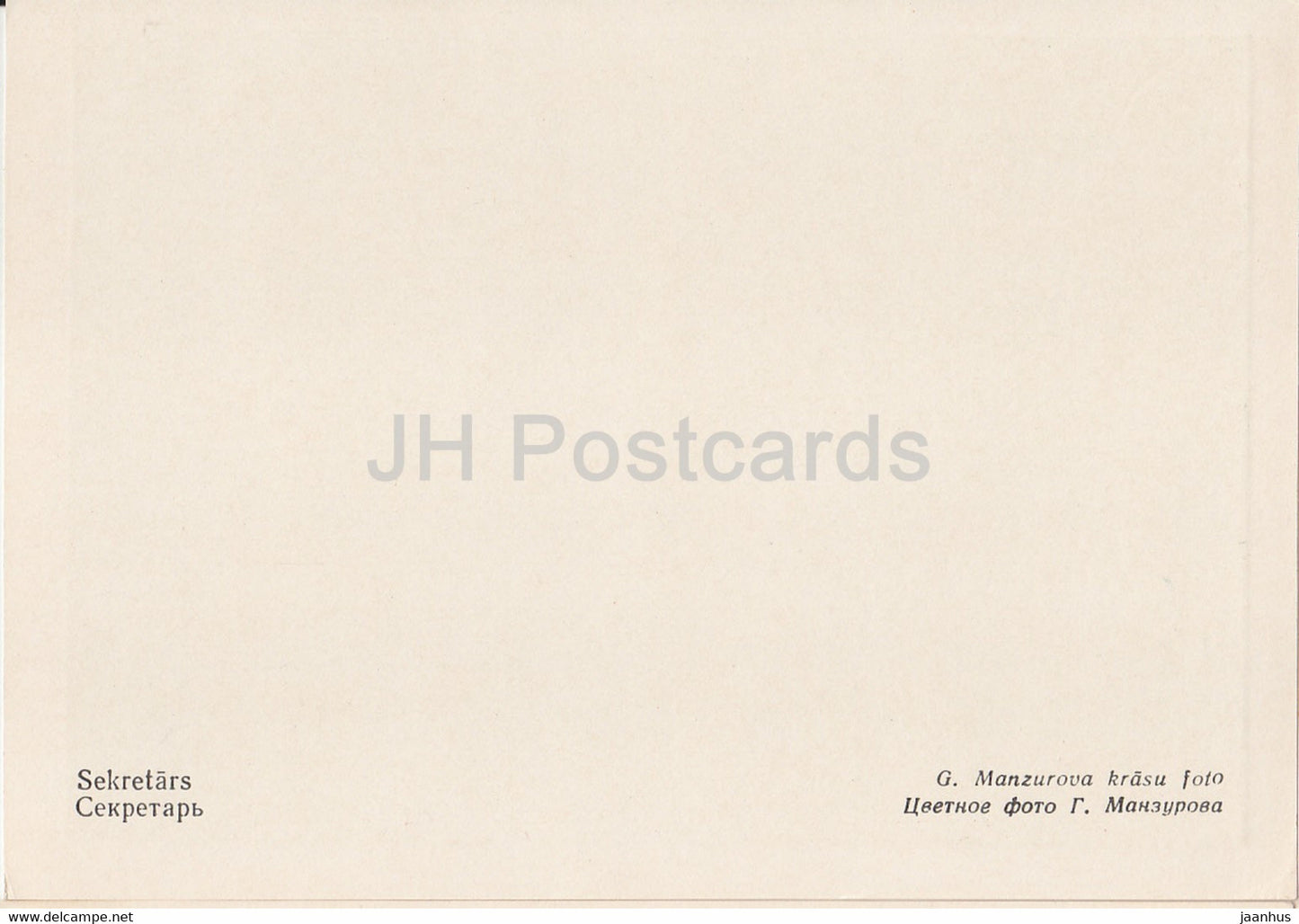 Riga Zoo - Secretarybird - Sagittarius serpentarius - birds - Latvia USSR - unused