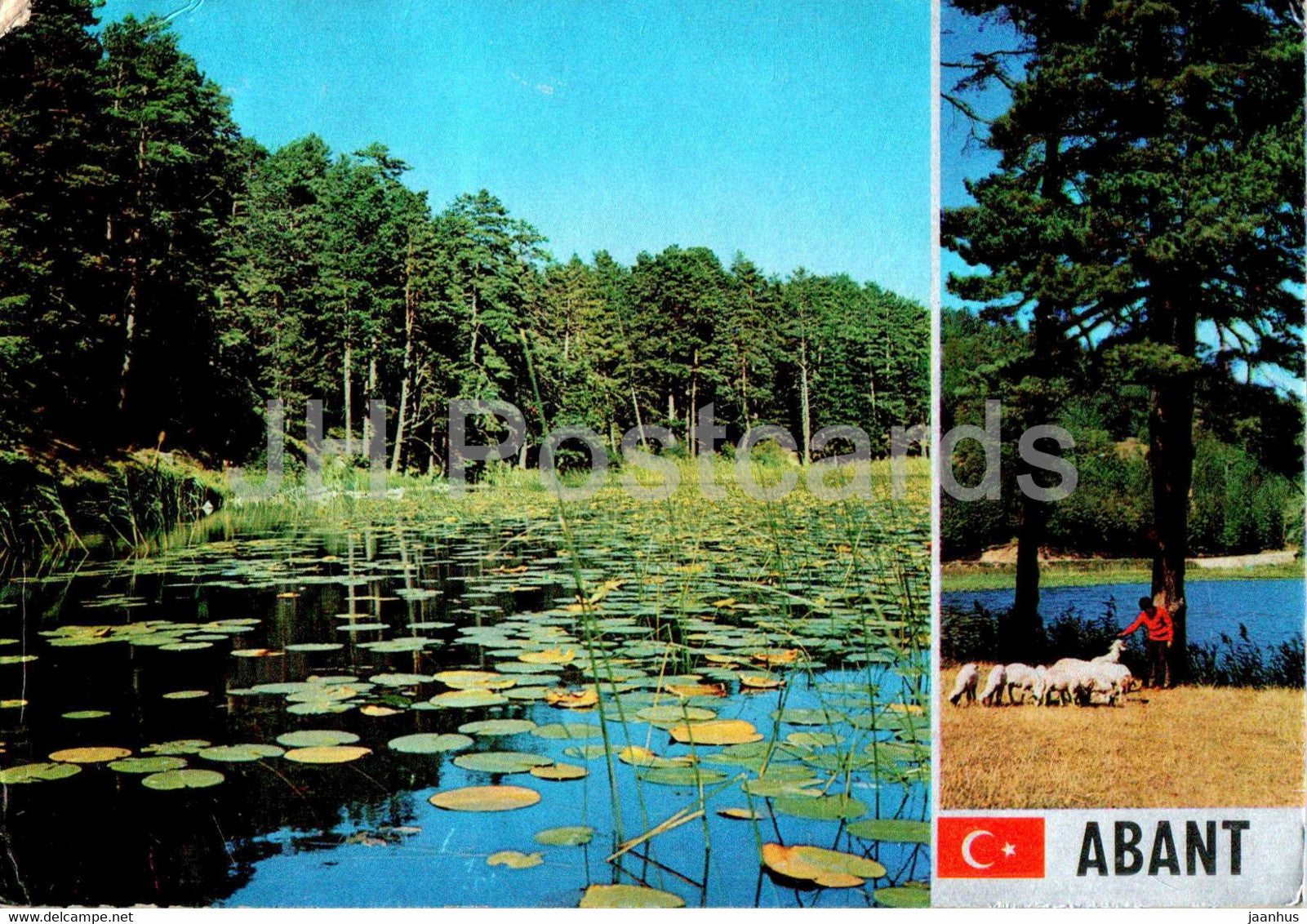 Abant - Bolu - iki gorunus - 1976 - Turkey - used - JH Postcards