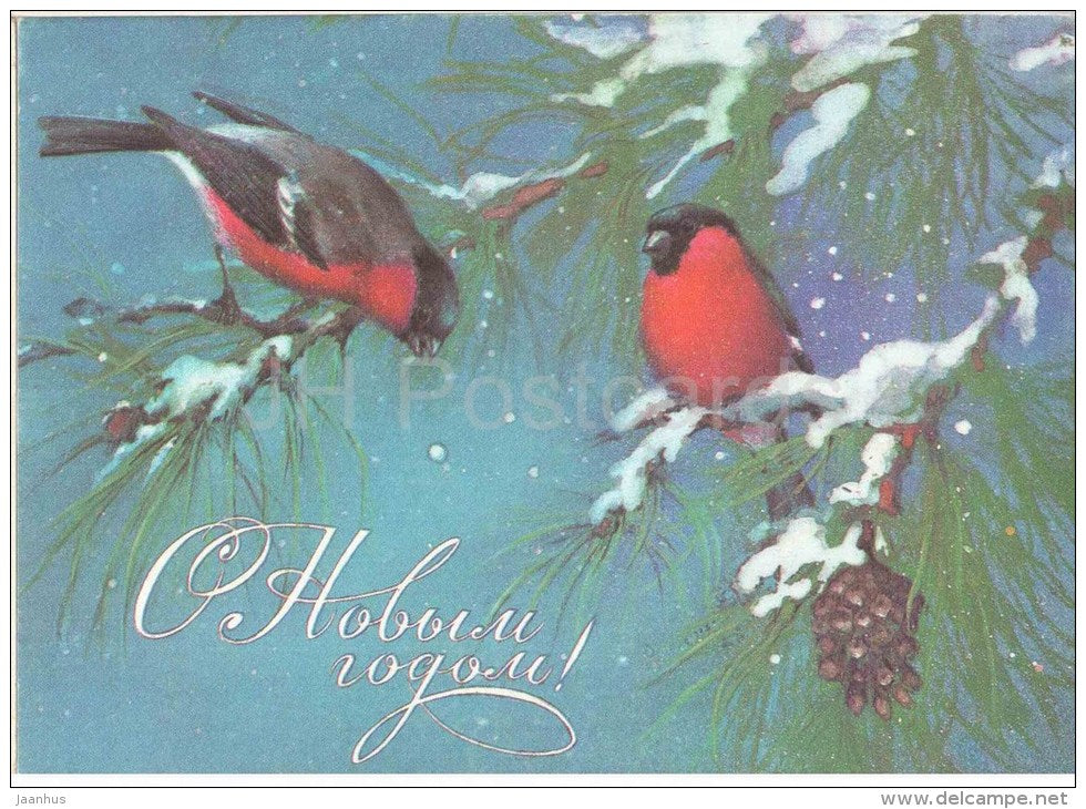 New Year greeting card - by A. Isakov - bullfinches - birds - 1985 - Russia USSR - unused - JH Postcards