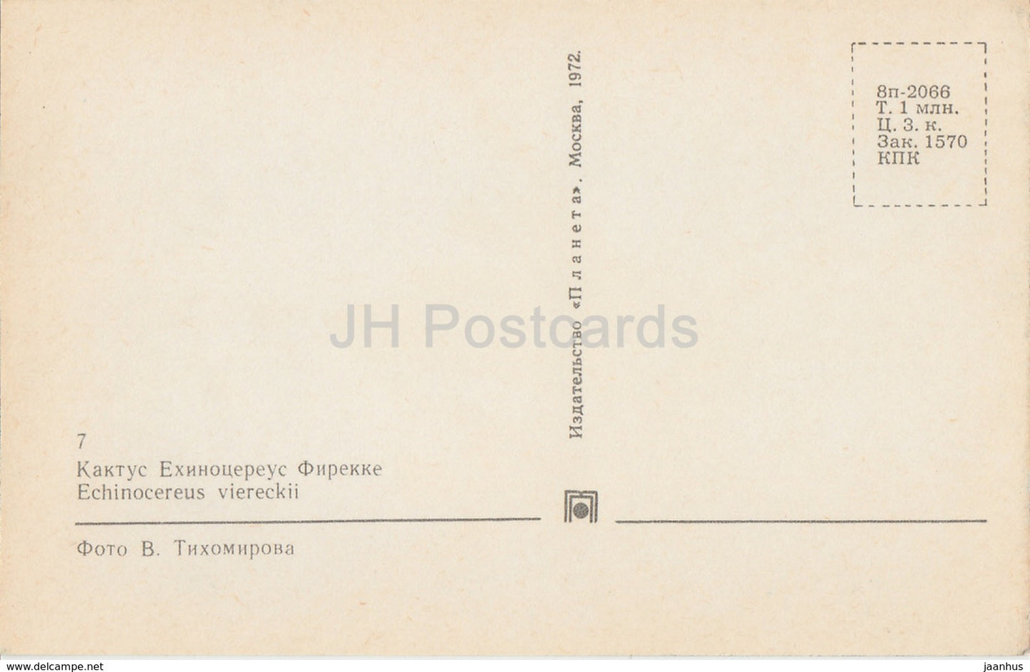 Echinocereus viereckii - Cactus - Flowers - 1972 - Russia USSR - unused - JH Postcards
