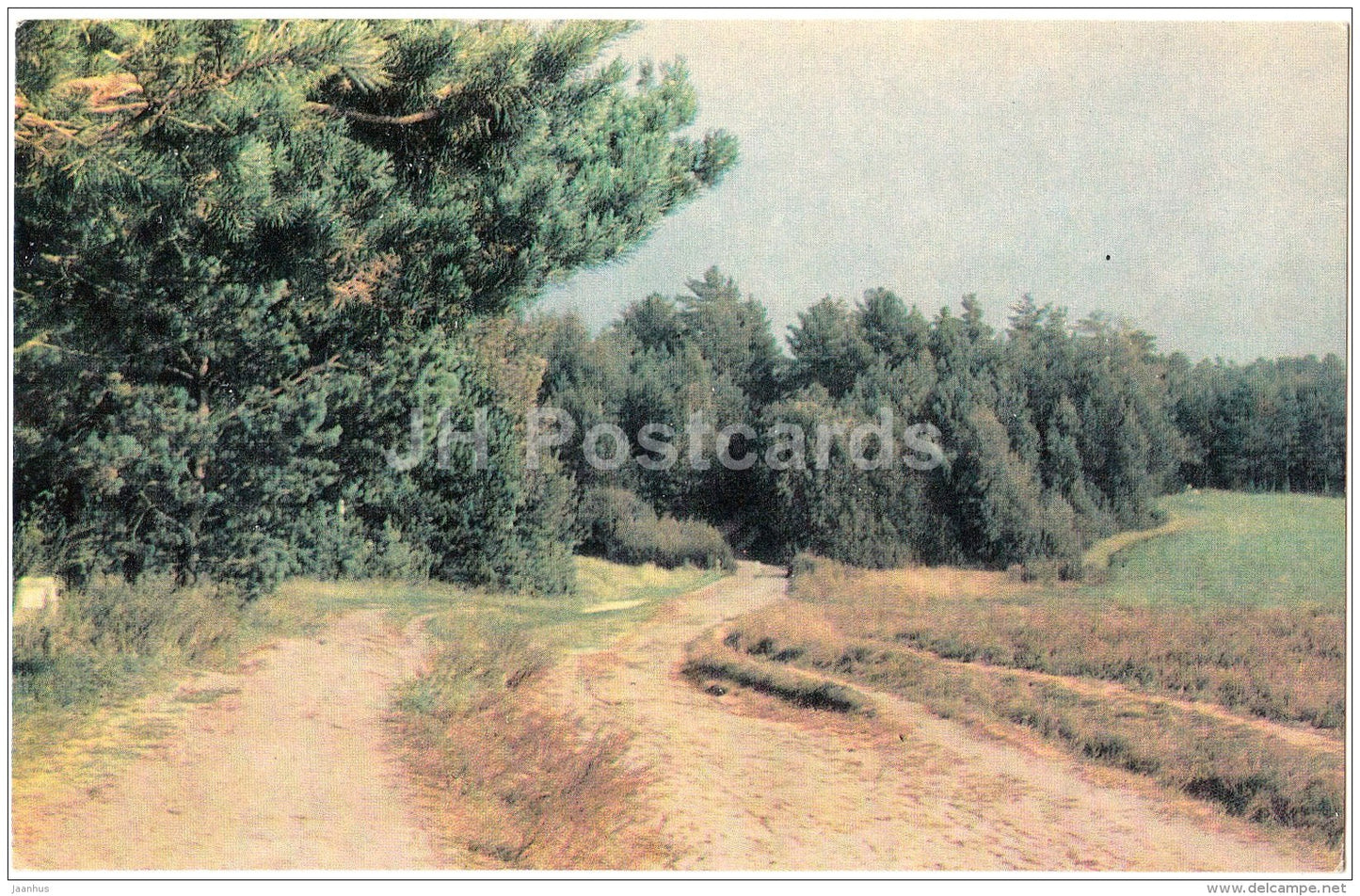 the road from Trigorskoye to Mikhailovskoye - State museum reserve of Pushkin - 1971 - Russia USSR - unused - JH Postcards