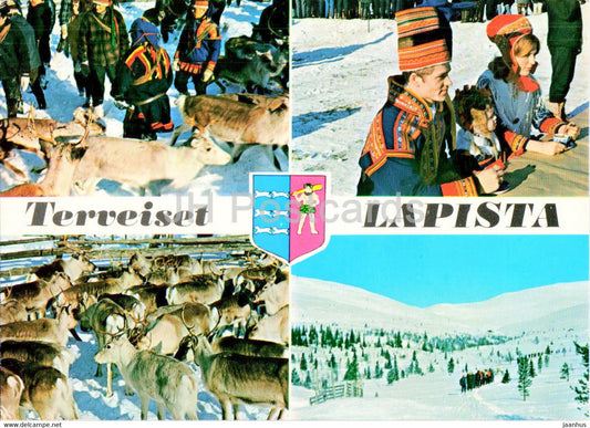 Suomen Lappi - Finnish Lapland - reindeer - animals - folk costumes - 1975 - Finland - used - JH Postcards