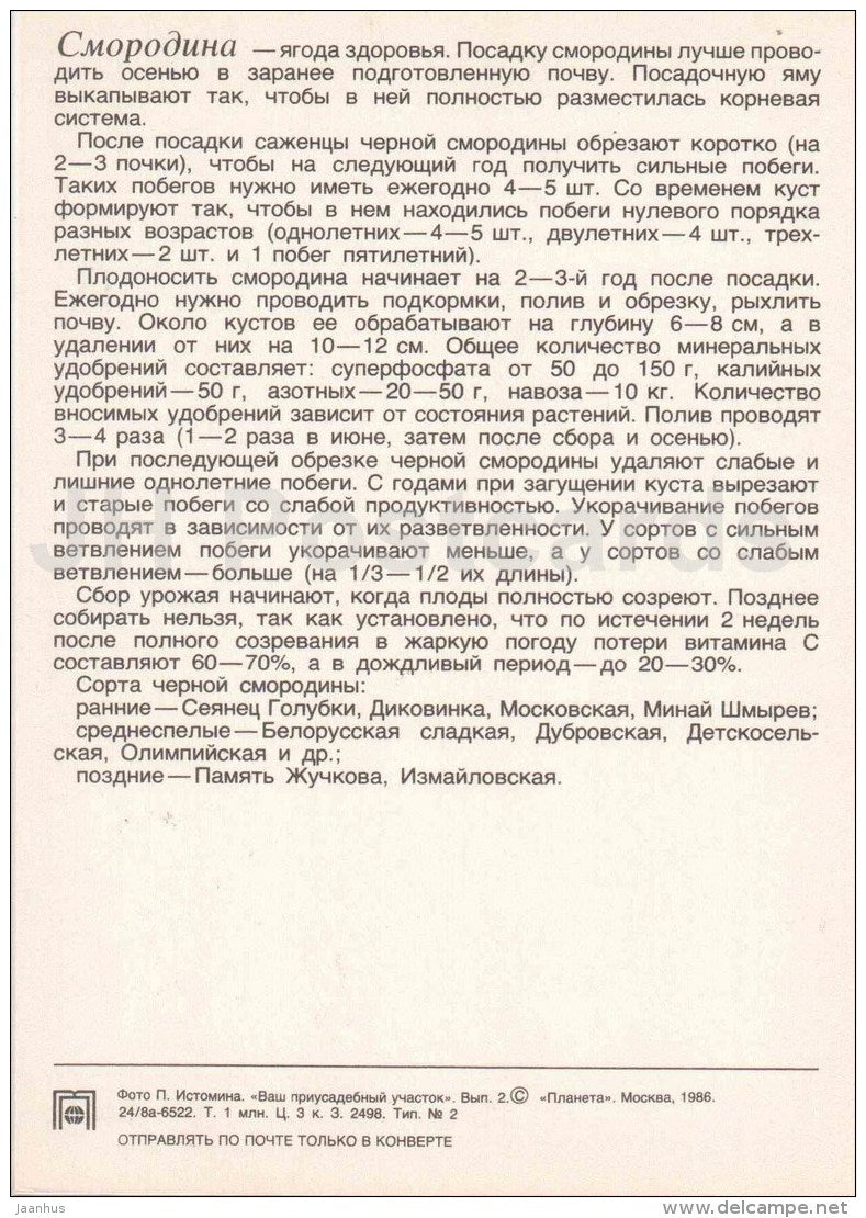 Black and Red Currant - fruit and berry crops - garden - 1986 - Russia USSR - unused - JH Postcards