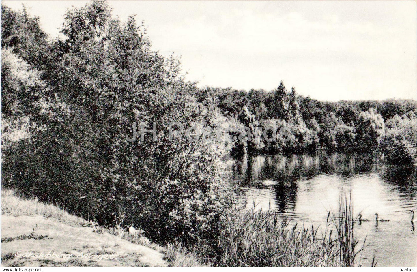 Sakskobing - Park - old postcard - 13852 - Denmark - used - JH Postcards