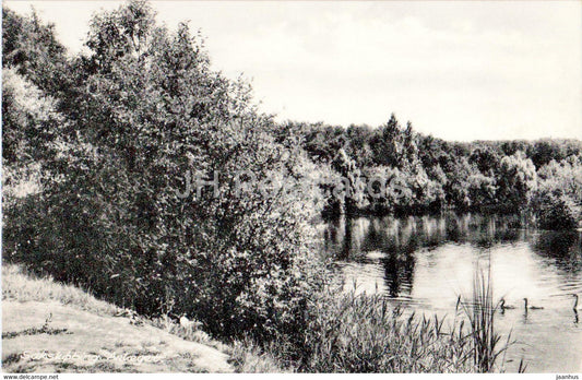 Sakskobing - Park - old postcard - 13852 - Denmark - used - JH Postcards