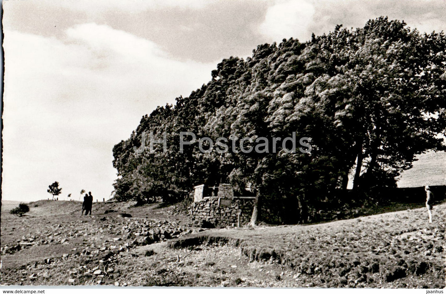 Die Rhon - Wasserkuppe - Fuldaquelle - old postcard - Germany - unused - JH Postcards