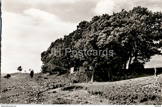 Die Rhon - Wasserkuppe - Fuldaquelle - old postcard - Germany - unused - JH Postcards
